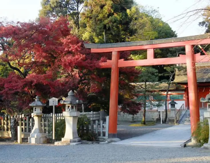 いまさら聞けない「お寺」と「神社」の違い